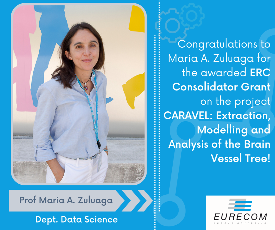 €2 Million ERC grant awarded for studying the brain vessel tree at EURECOM